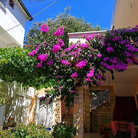 Apartmani Leon Biograd Na Moru Bagian luar foto